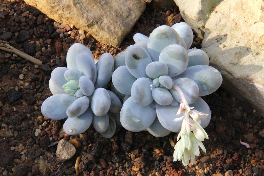 Am Botanischen Garten, Kiel, Schleswig-Holstein, Deutschland