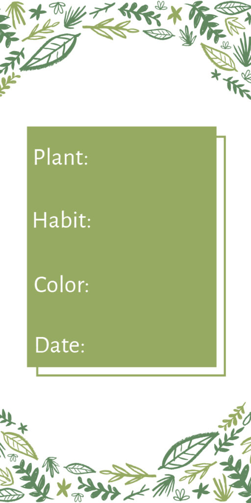 Seed Packet Template - Green