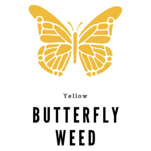 Butterfly Weed Seed
