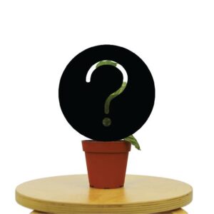 Mystery Plant Box